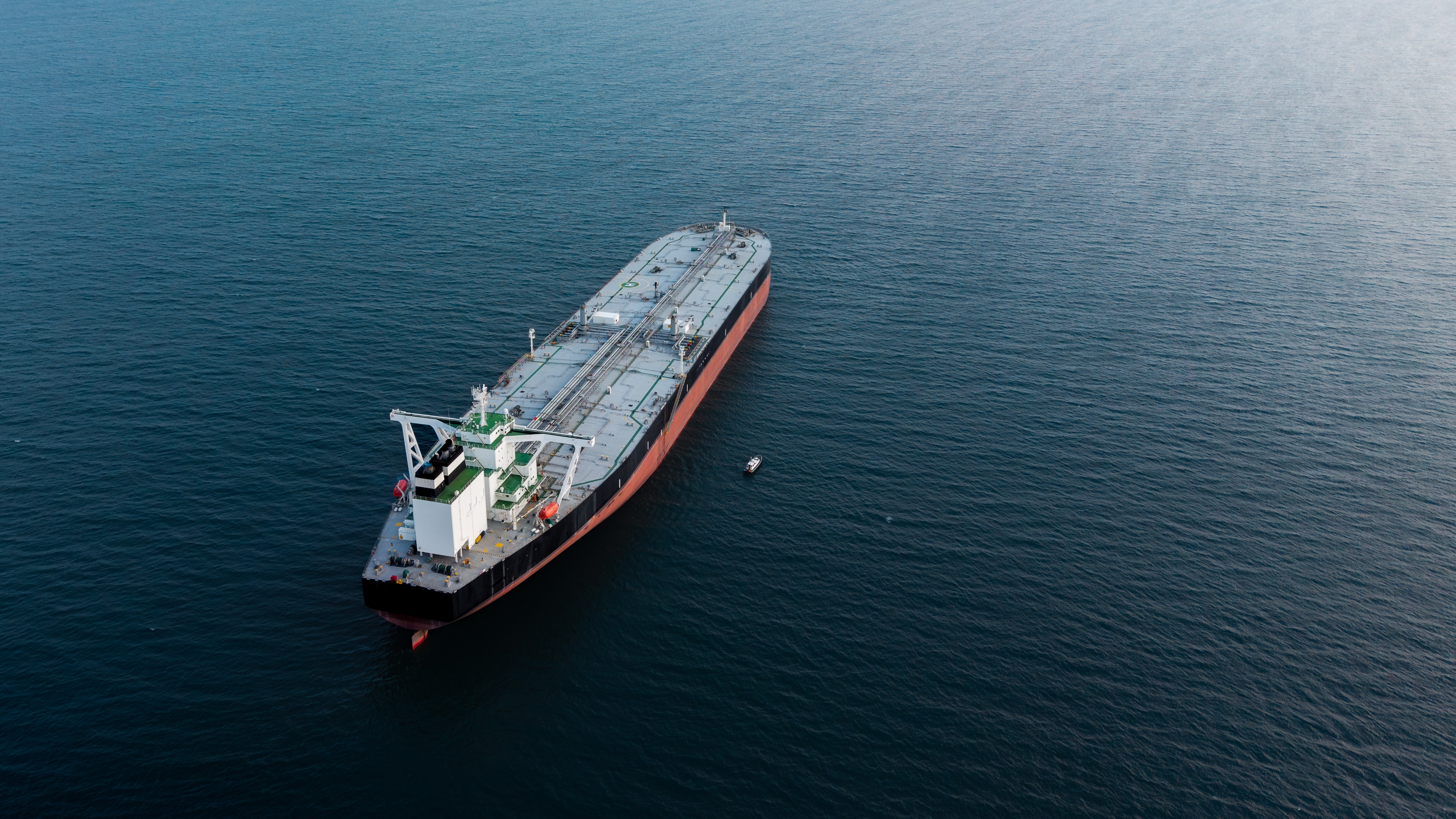 Foto: Clare Louise Jackson / Shutterstock