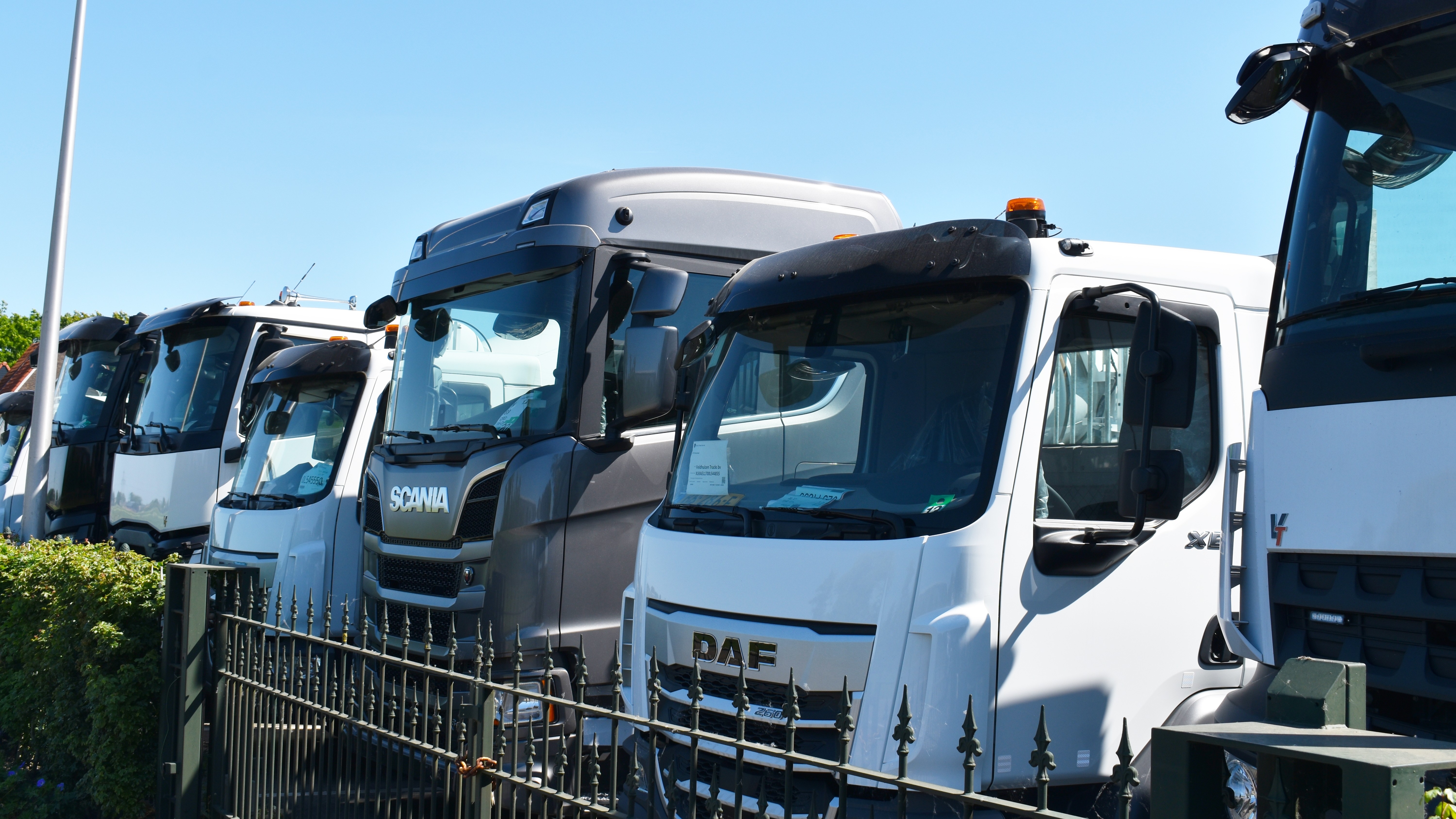 Foto: Stoqliq / Shutterstock