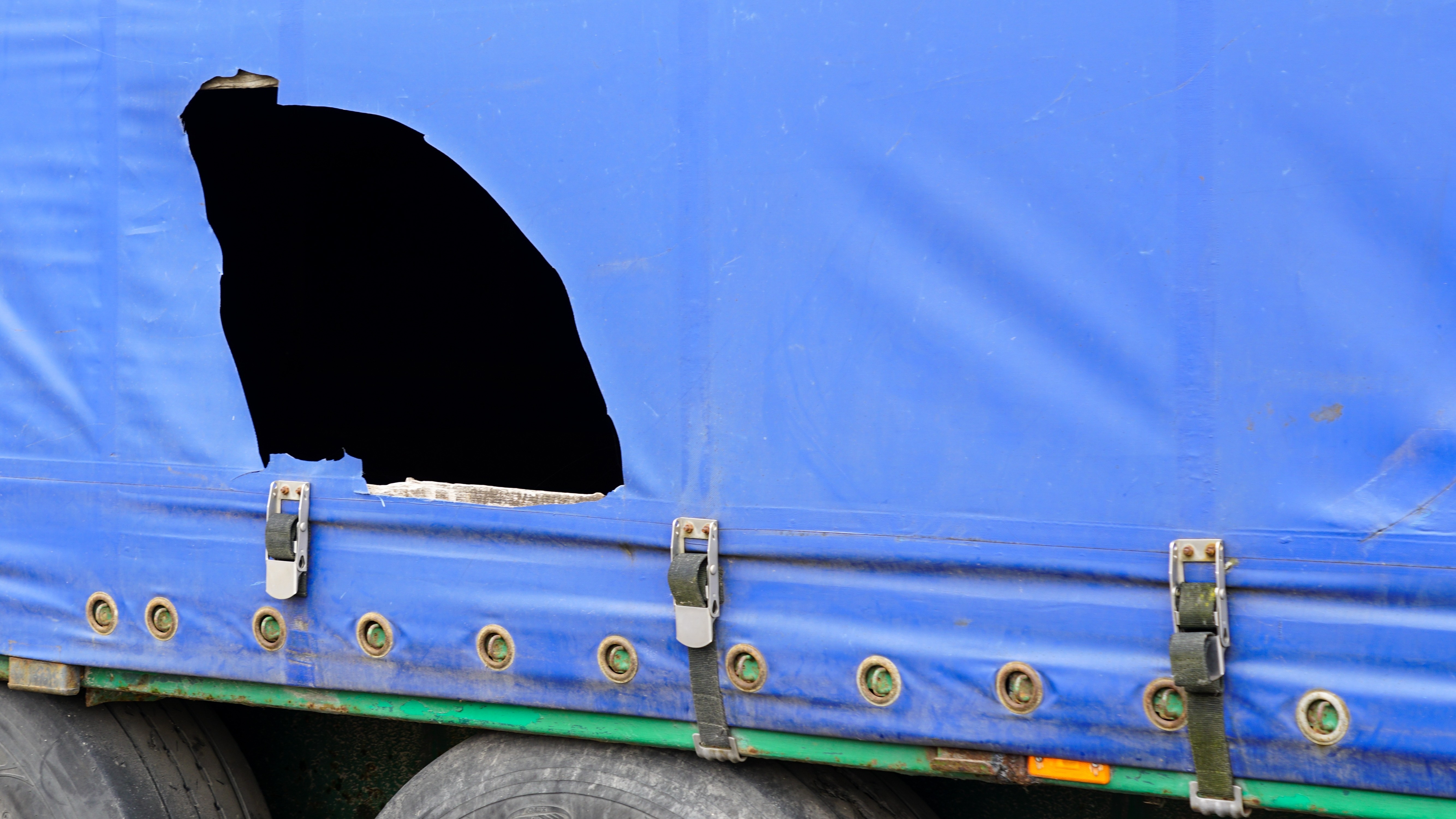 Foto: Zigmunds Dizgalvis / Shutterstock