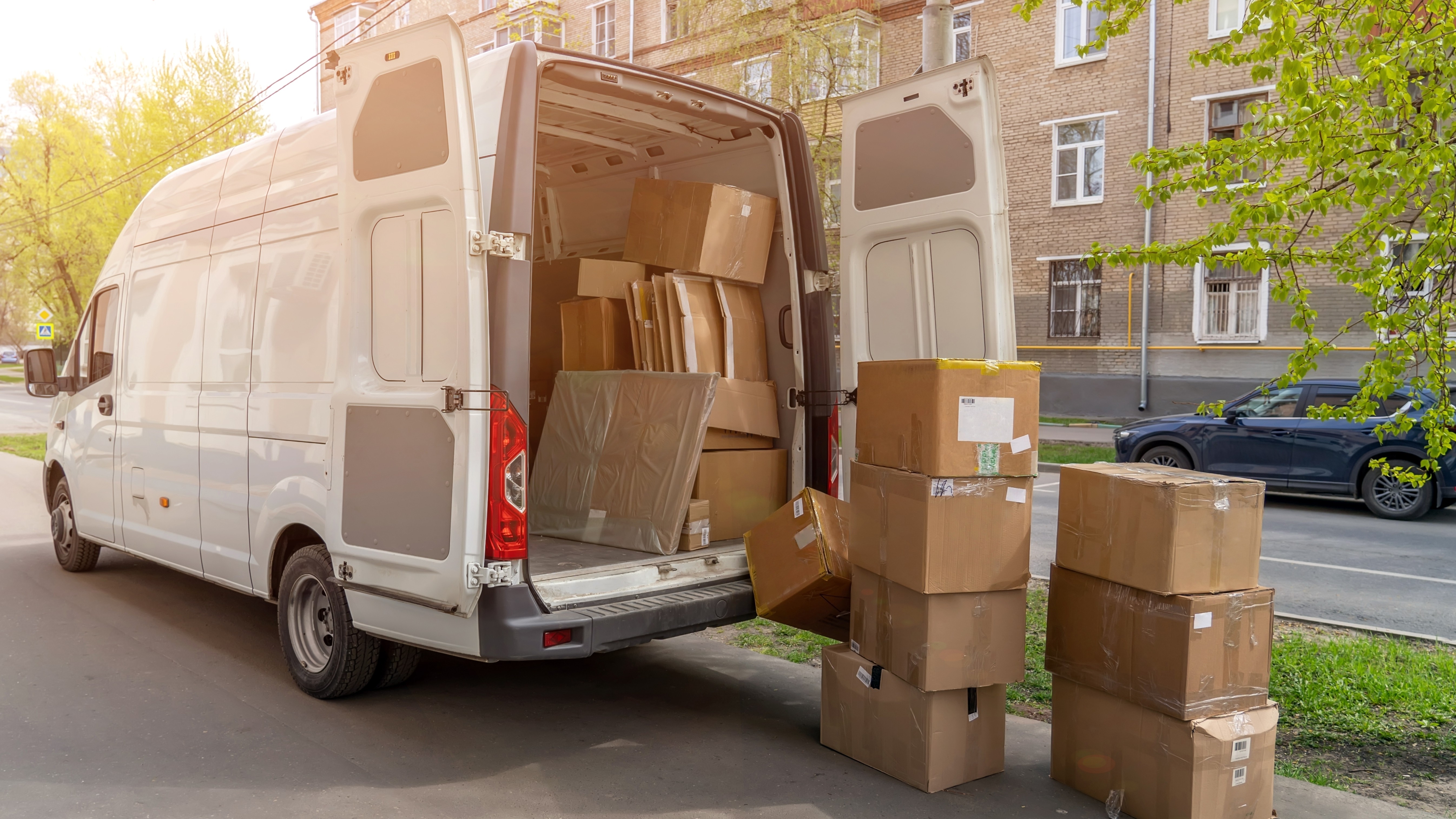 Foto: sommthink / Shutterstock