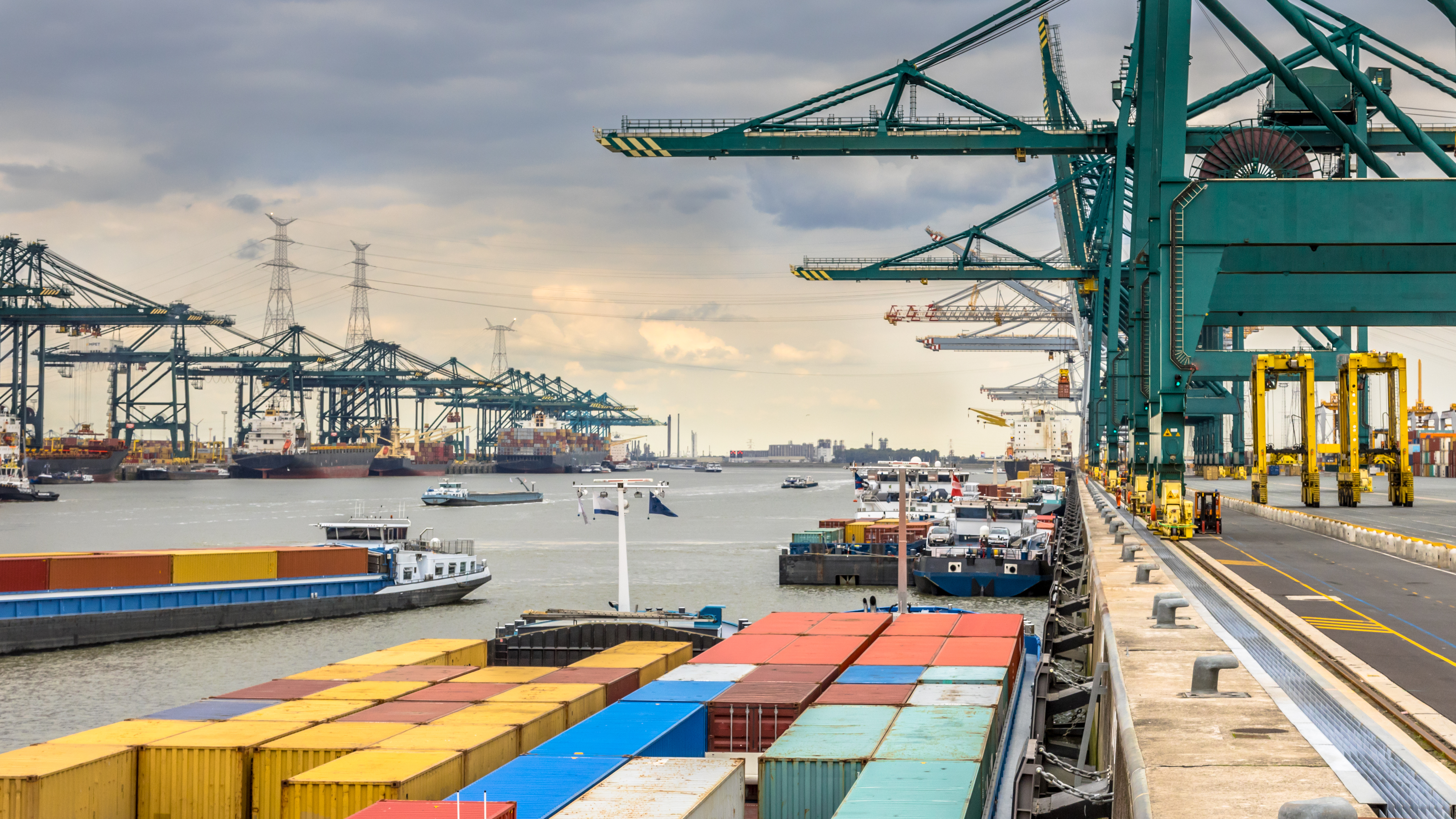 Foto: Rudmer Zwerver / Shutterstock