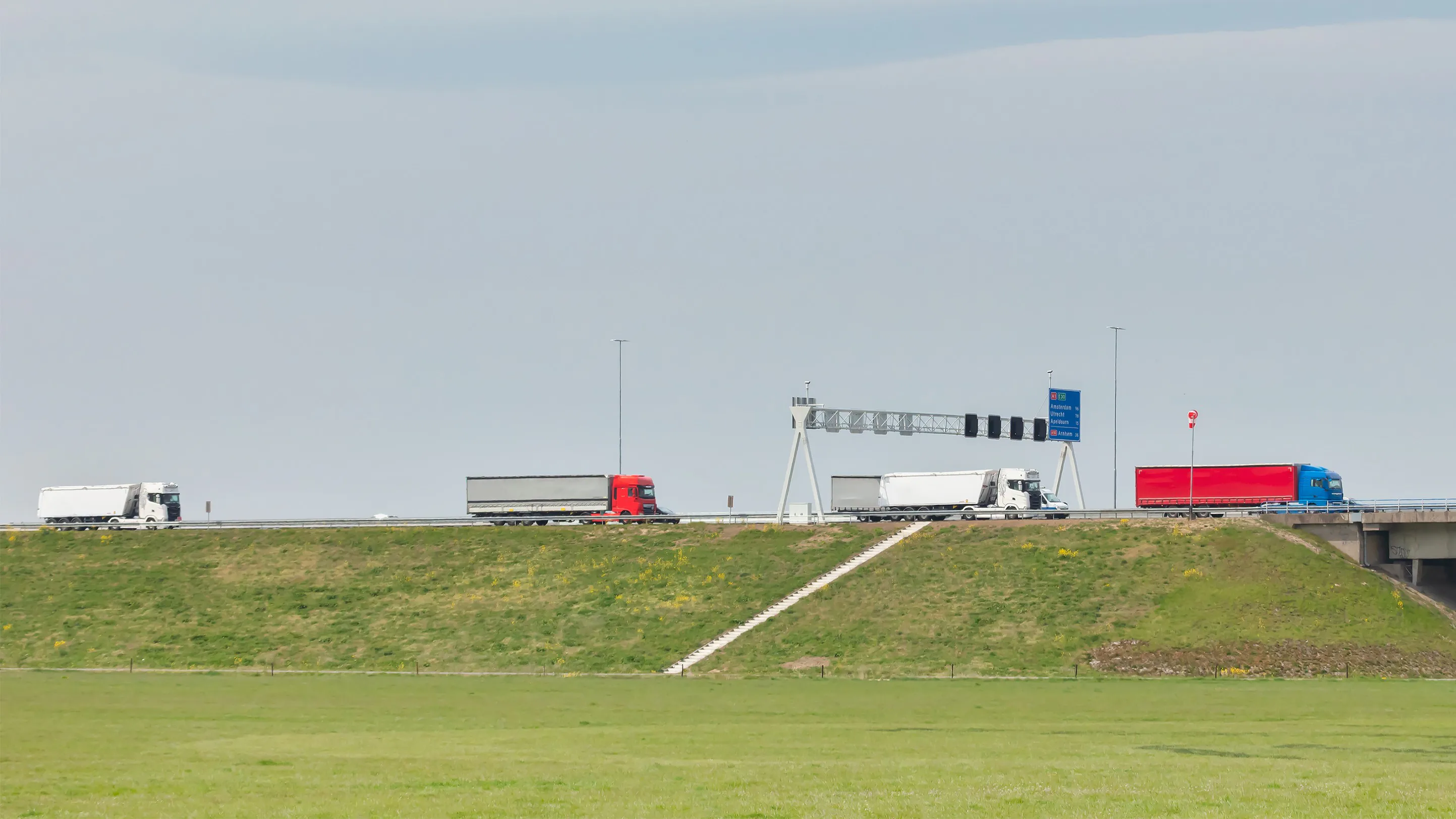 Foto: Martin Bergsma / Shutterstock