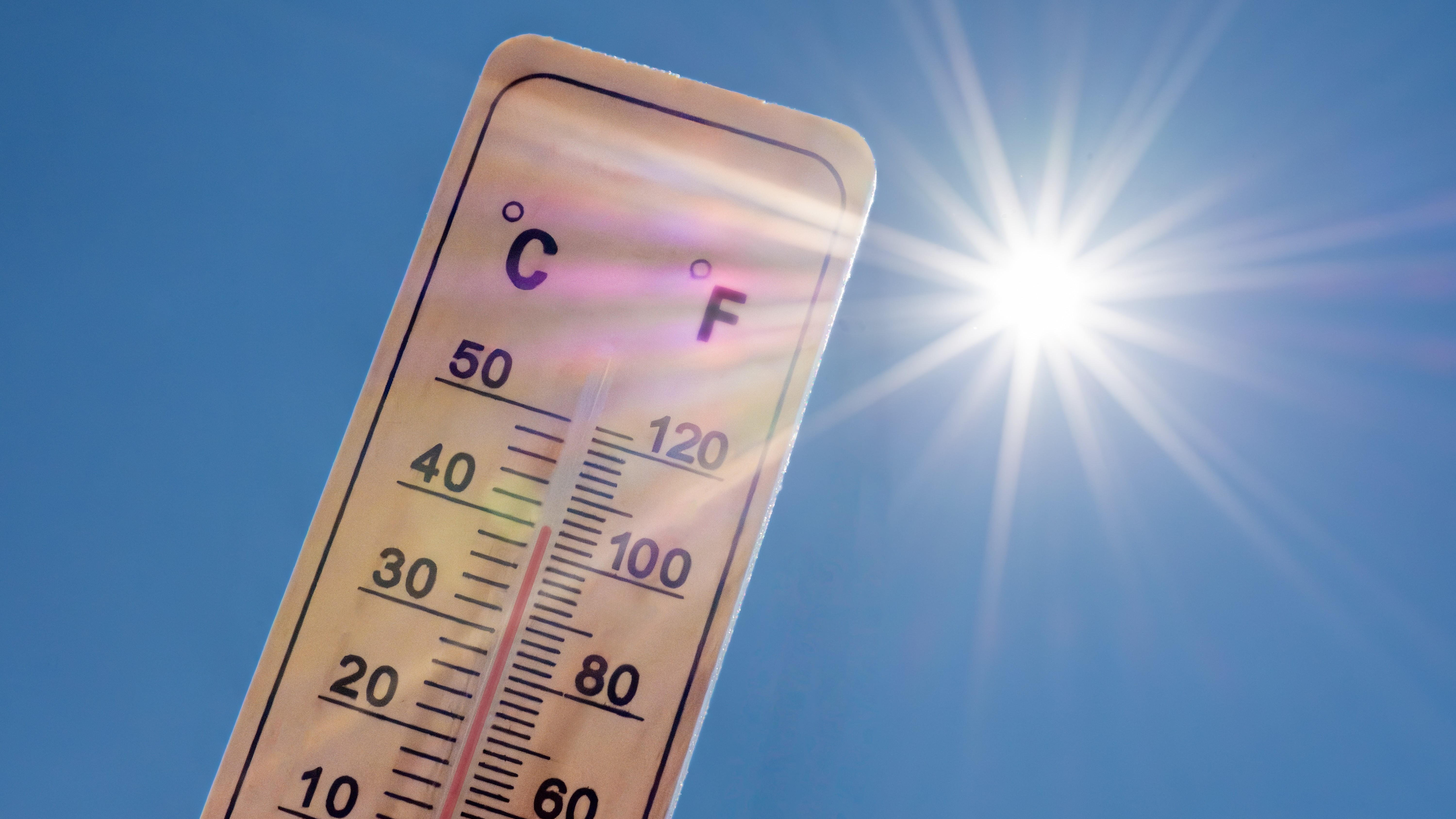 Foto: HJBC / Shutterstock