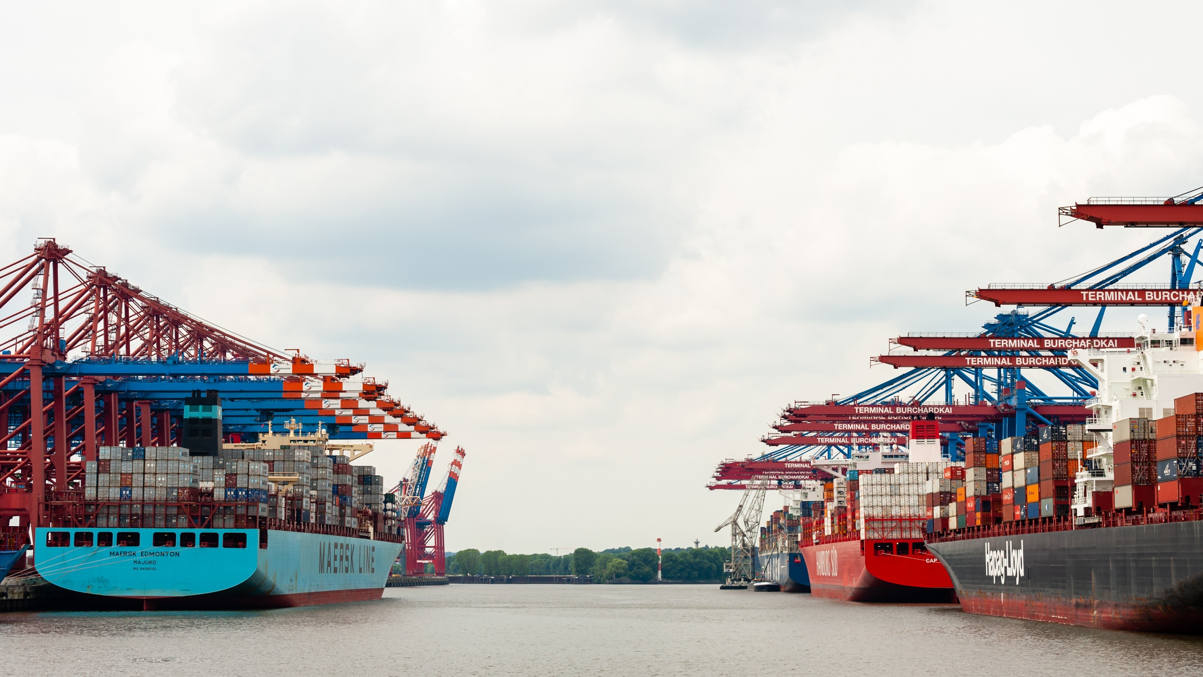 Foto: Simon Maas / Shutterstock
