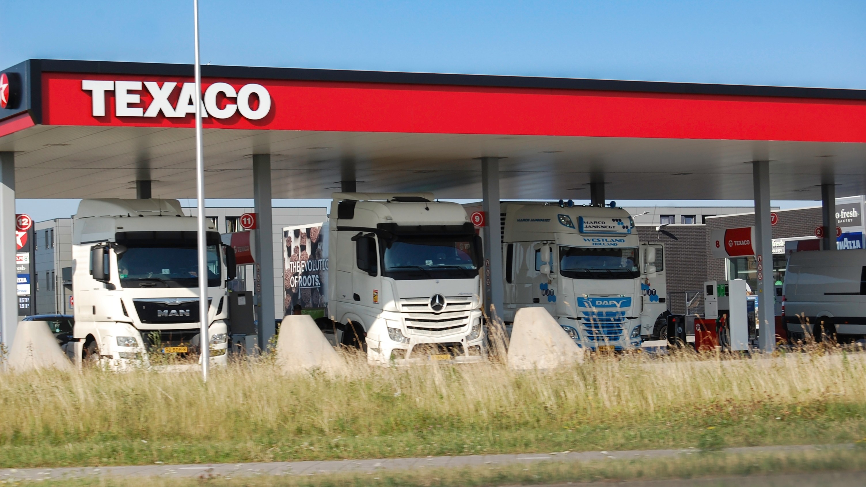 Foto: Sam-de-trucker / Shutterstock