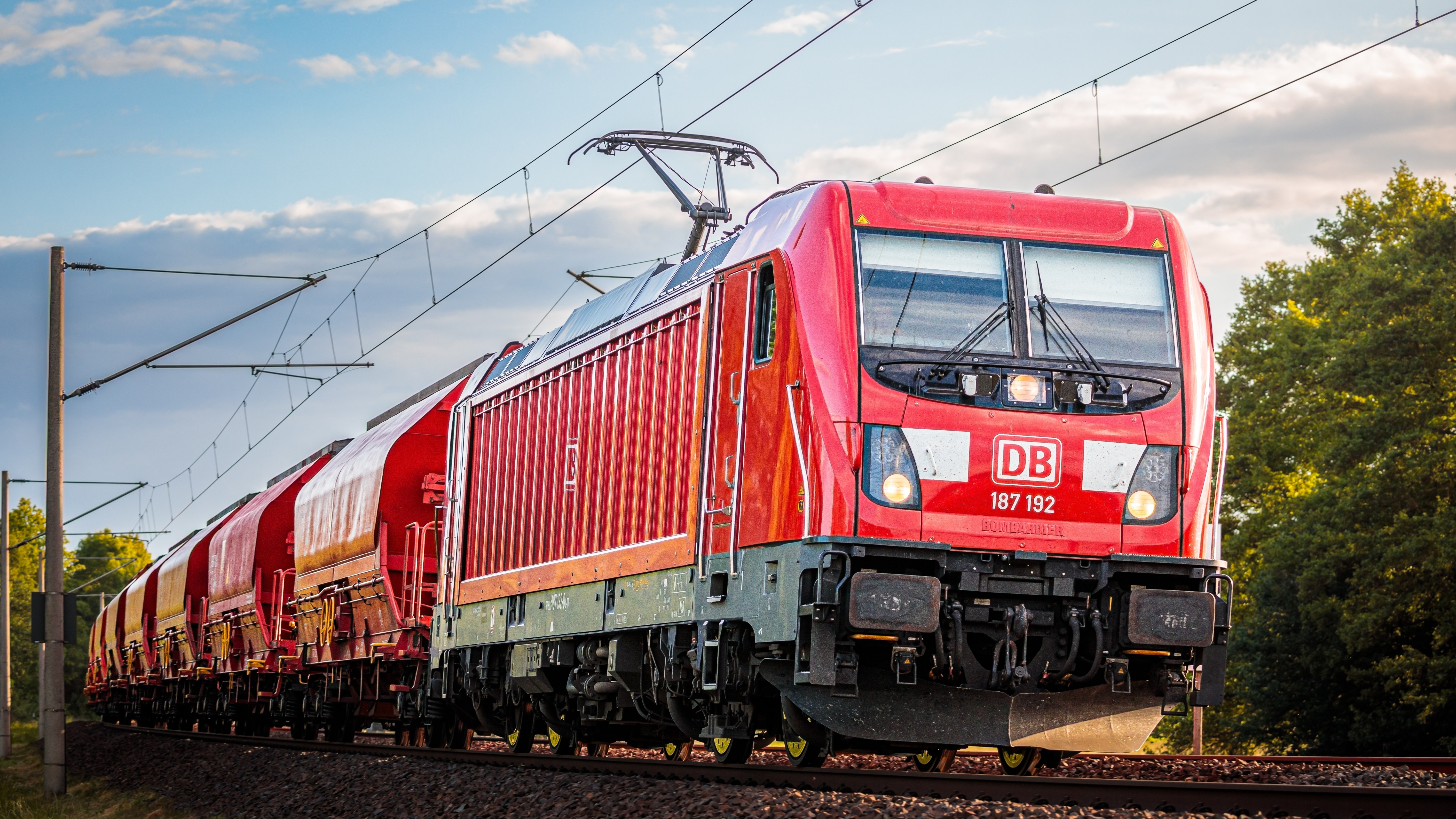 Foto: MihailC95 / Shutterstock