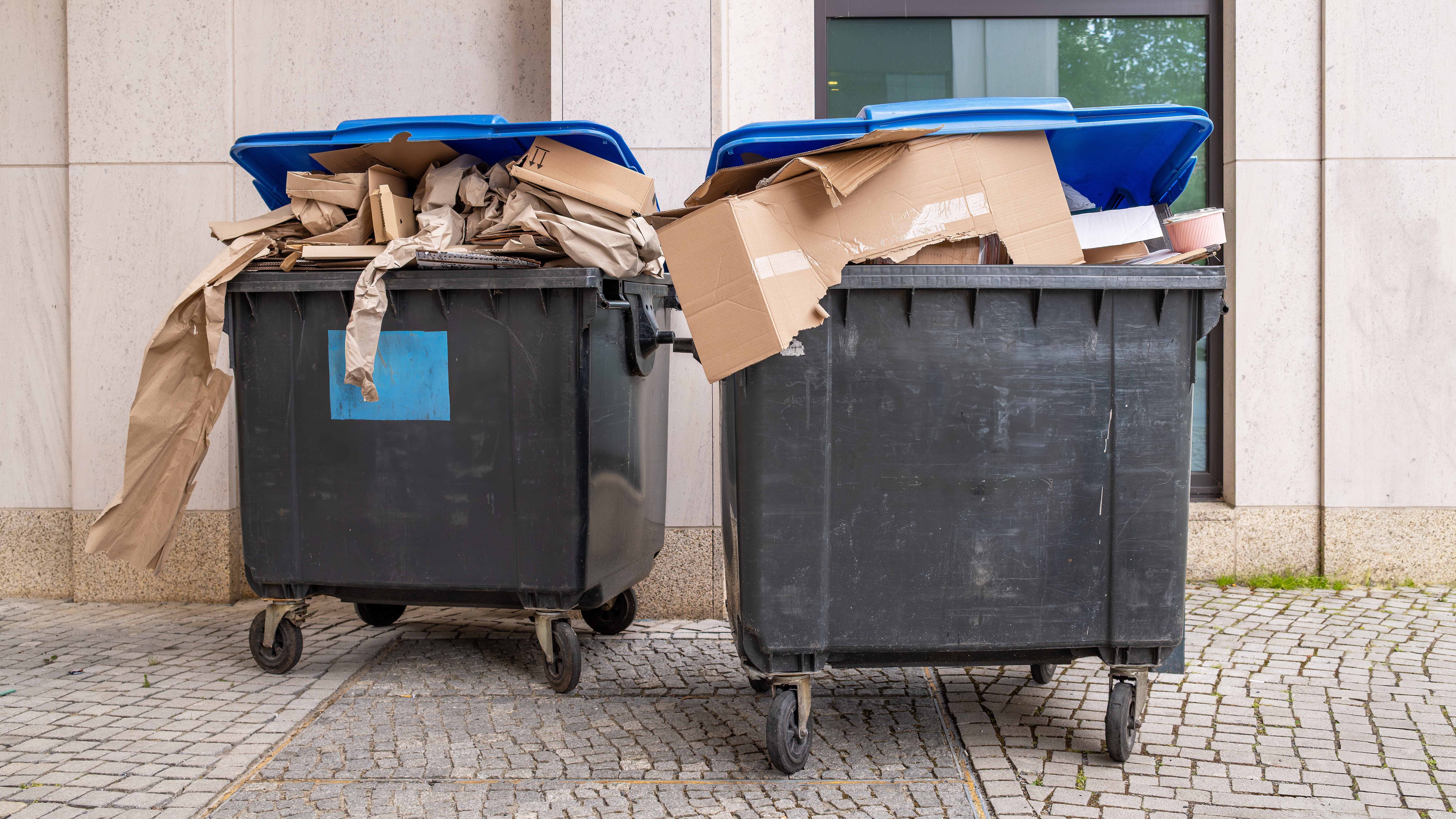 Foto: Shutterstock / peter1234