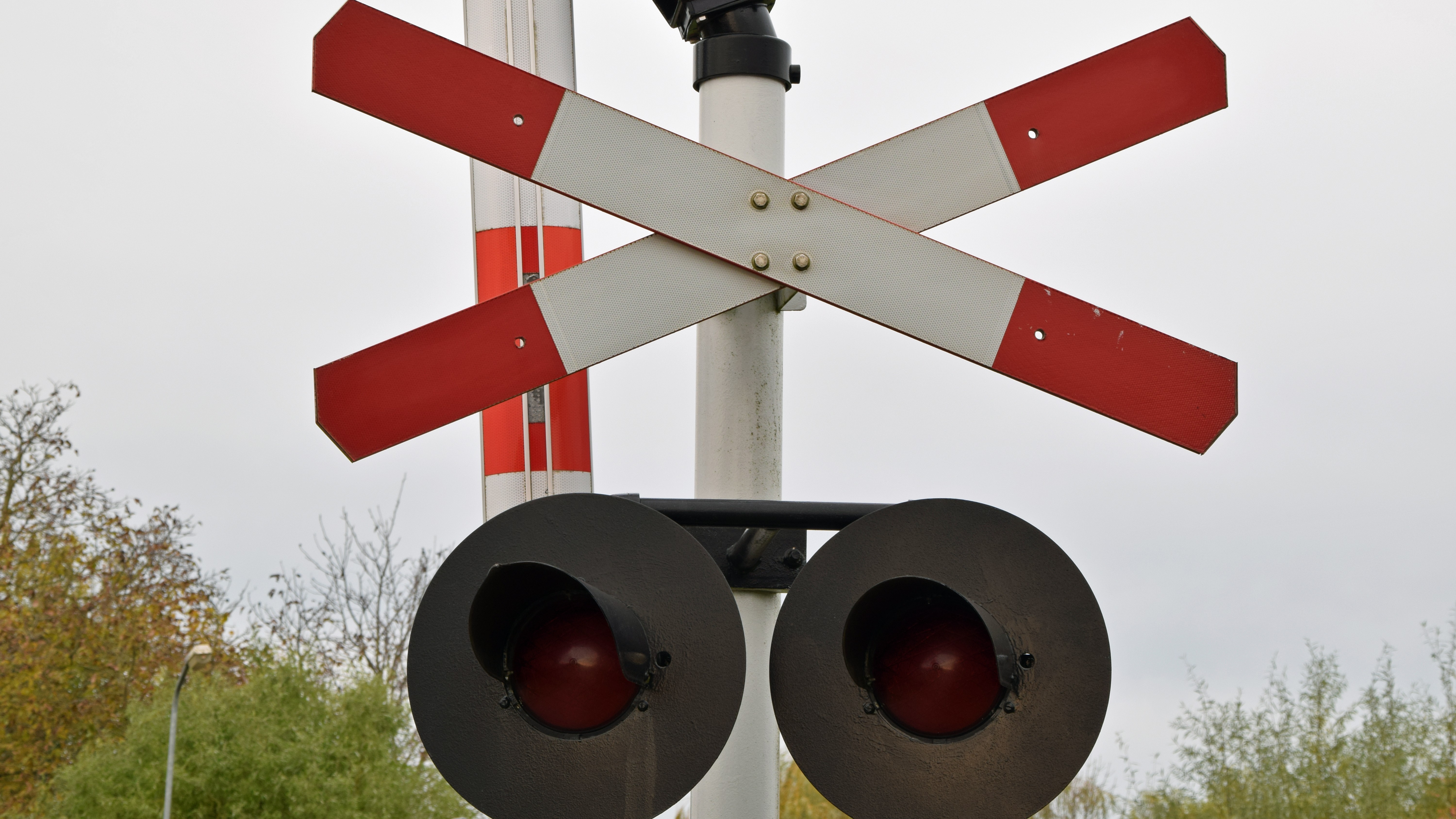 Foto: Robin Verhoef / Shutterstock