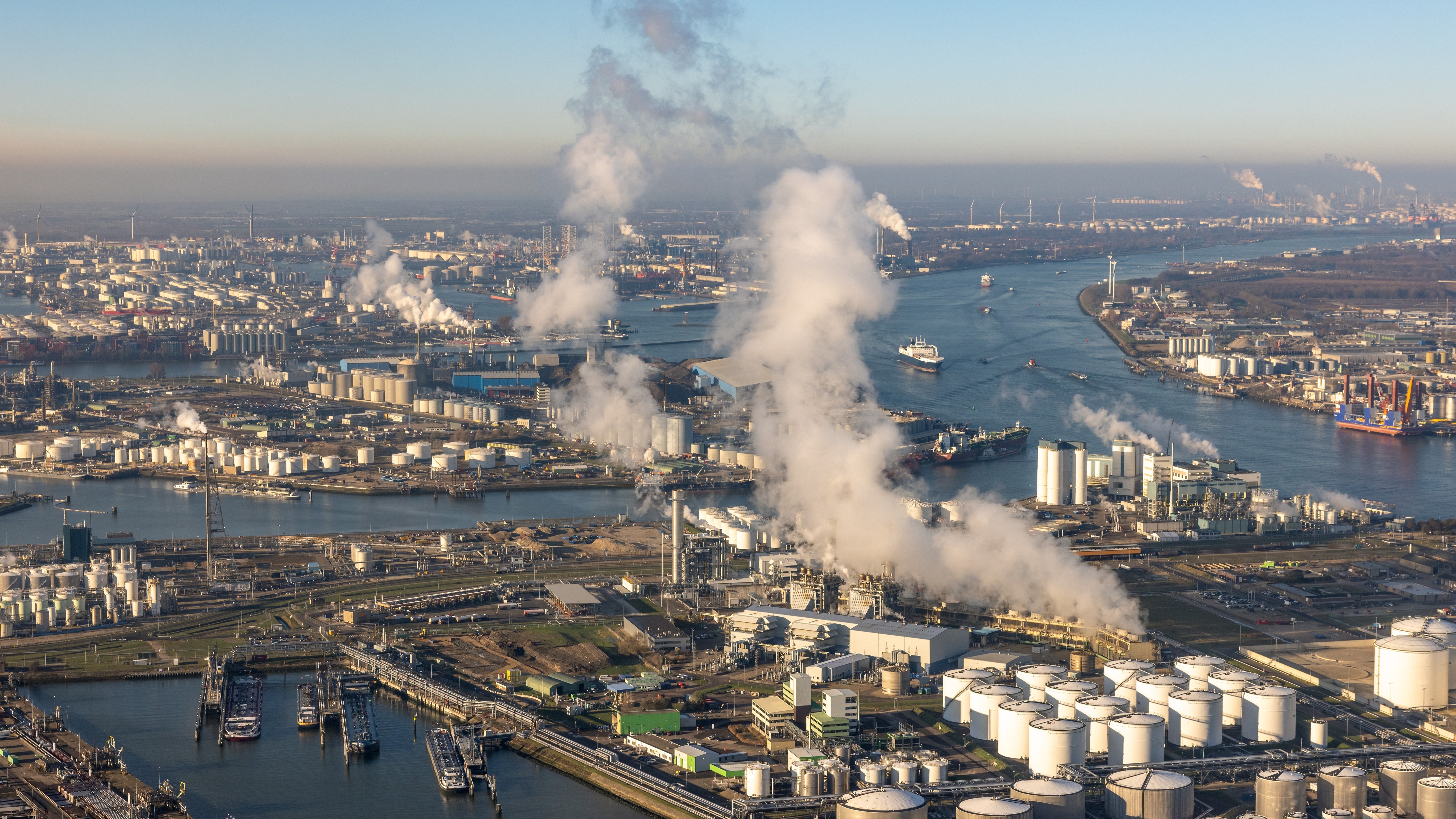 Foto: T.W. van Urk / Shutterstock