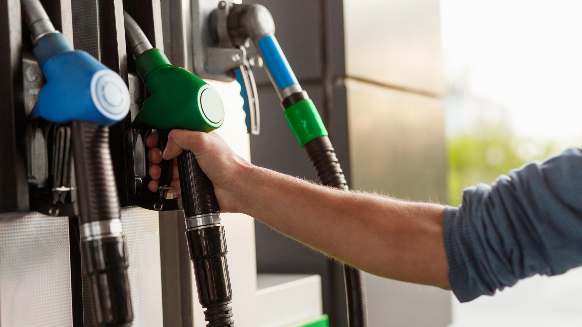 Foto: Max kegfire / Shutterstock