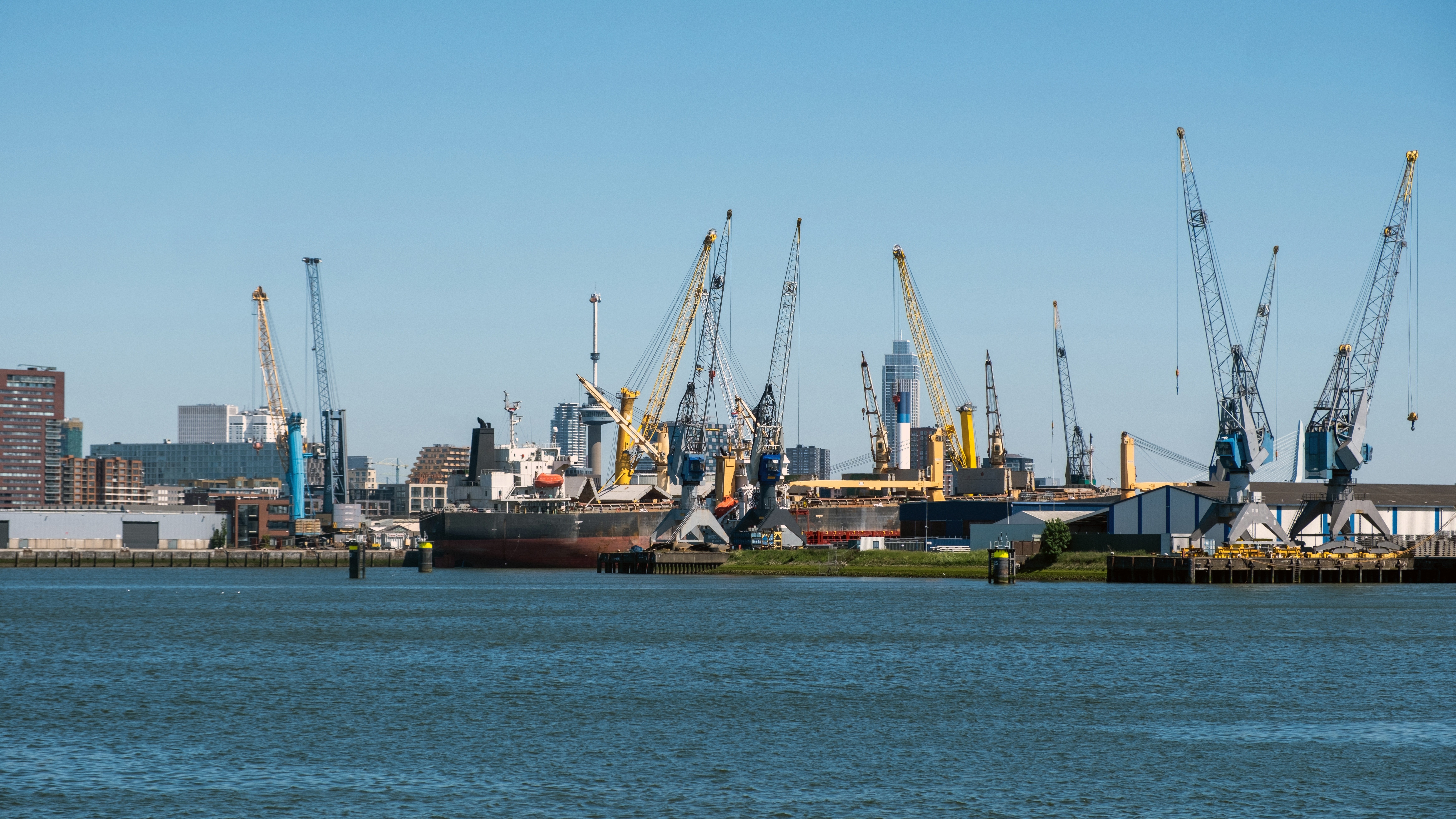 Foto: rawf8 / Shutterstock