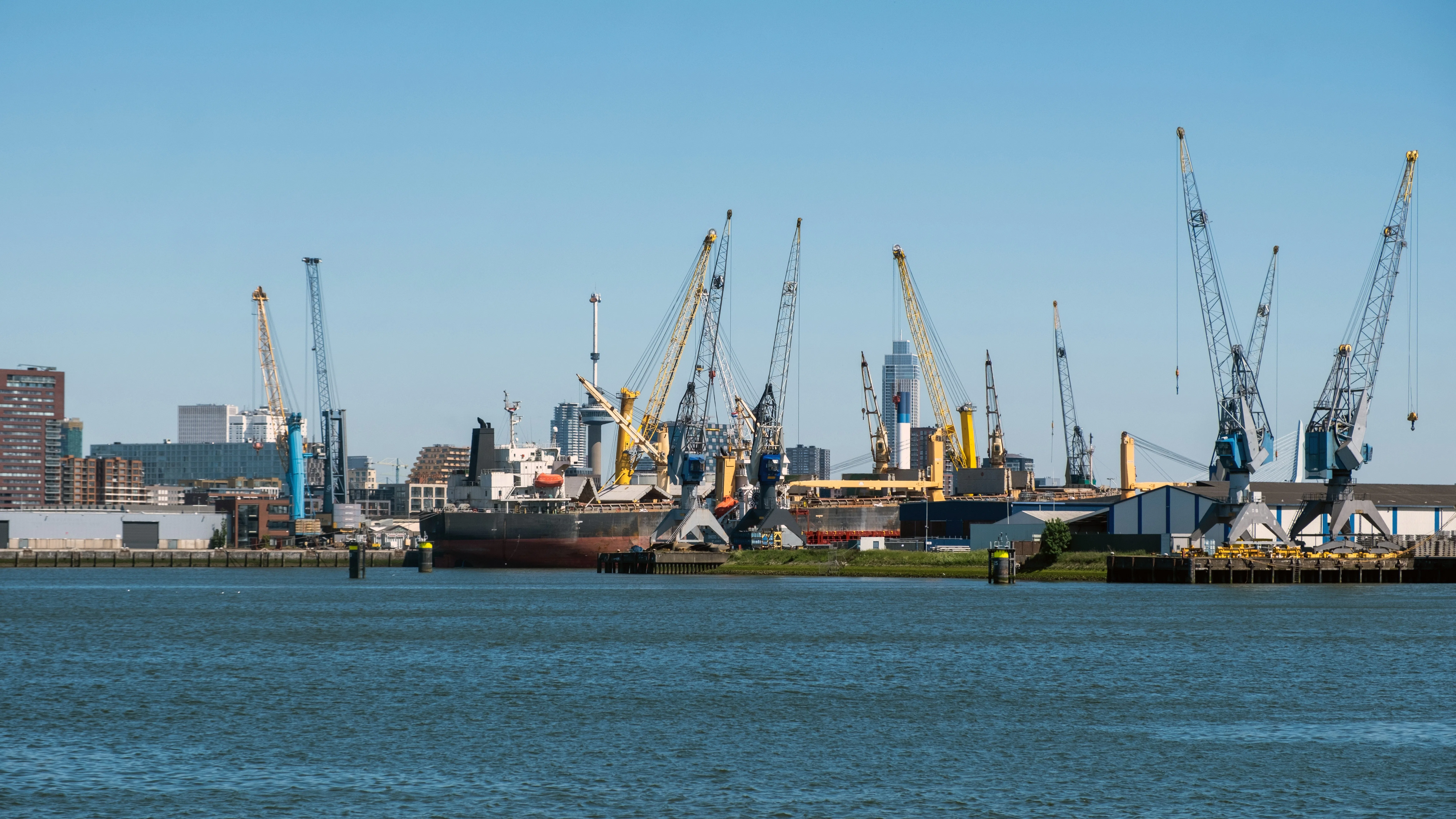 Foto: rawf8 / Shutterstock