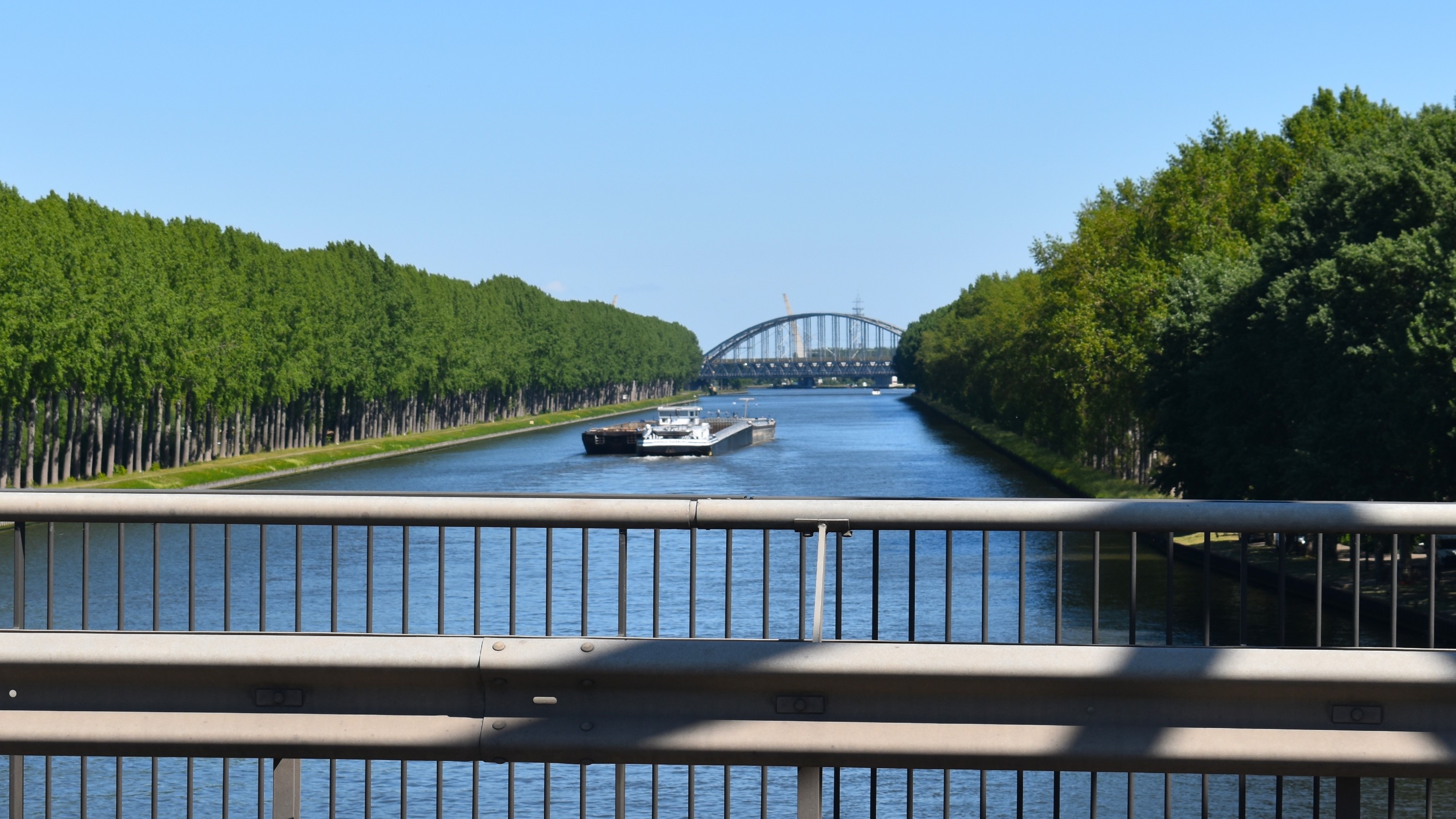Foto: Stoqliq / Shutterstock