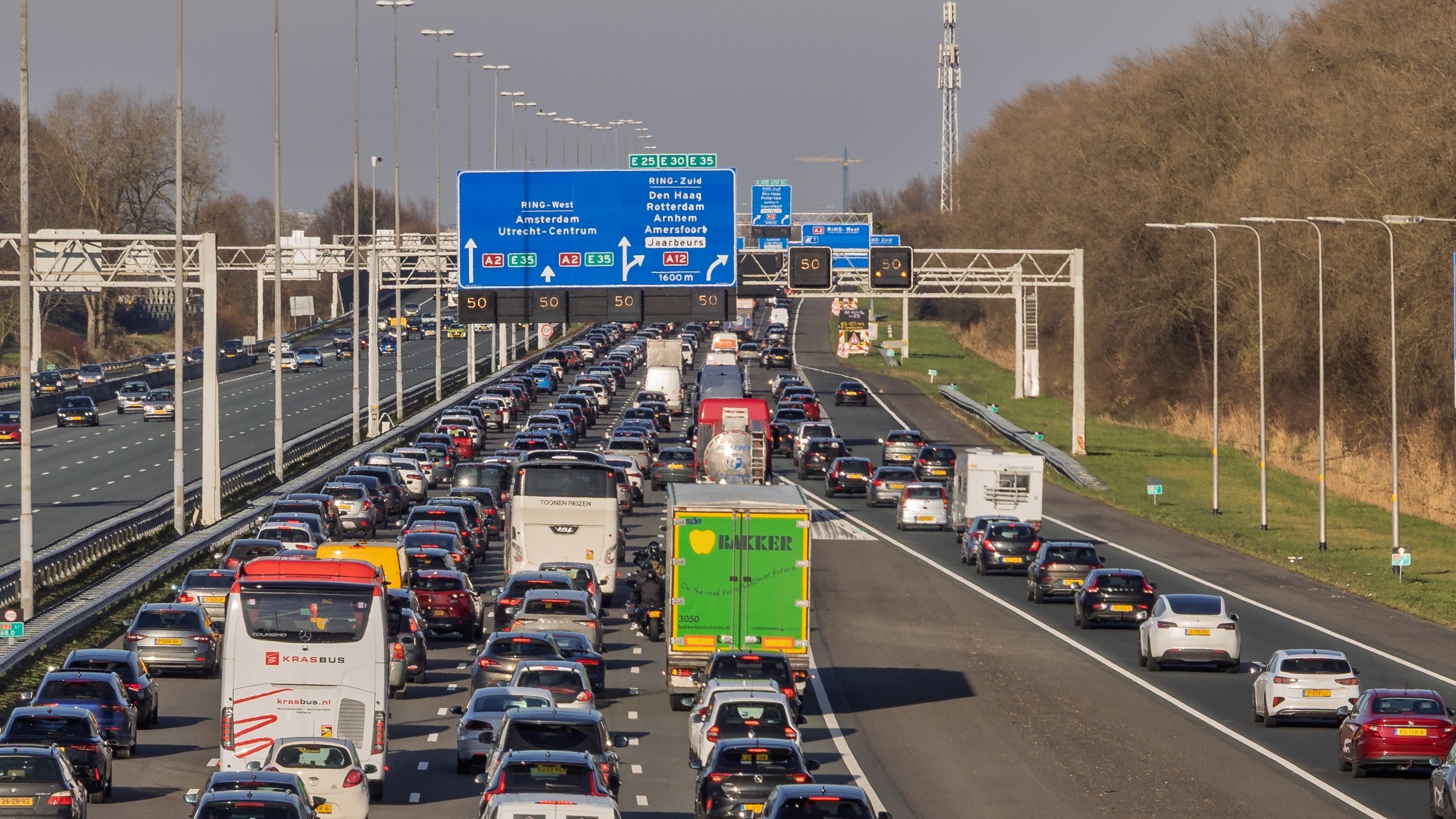 Foto: PixelBiss / Shutterstock